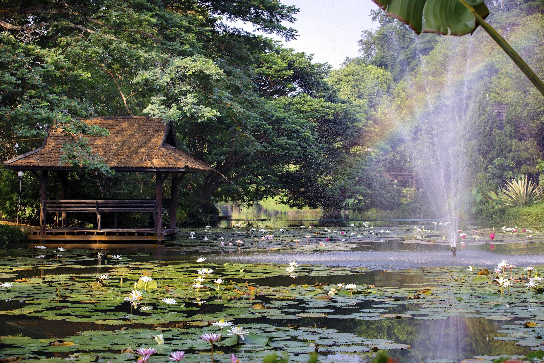 Lampang River Lodge - SHA certified Bagian luar foto