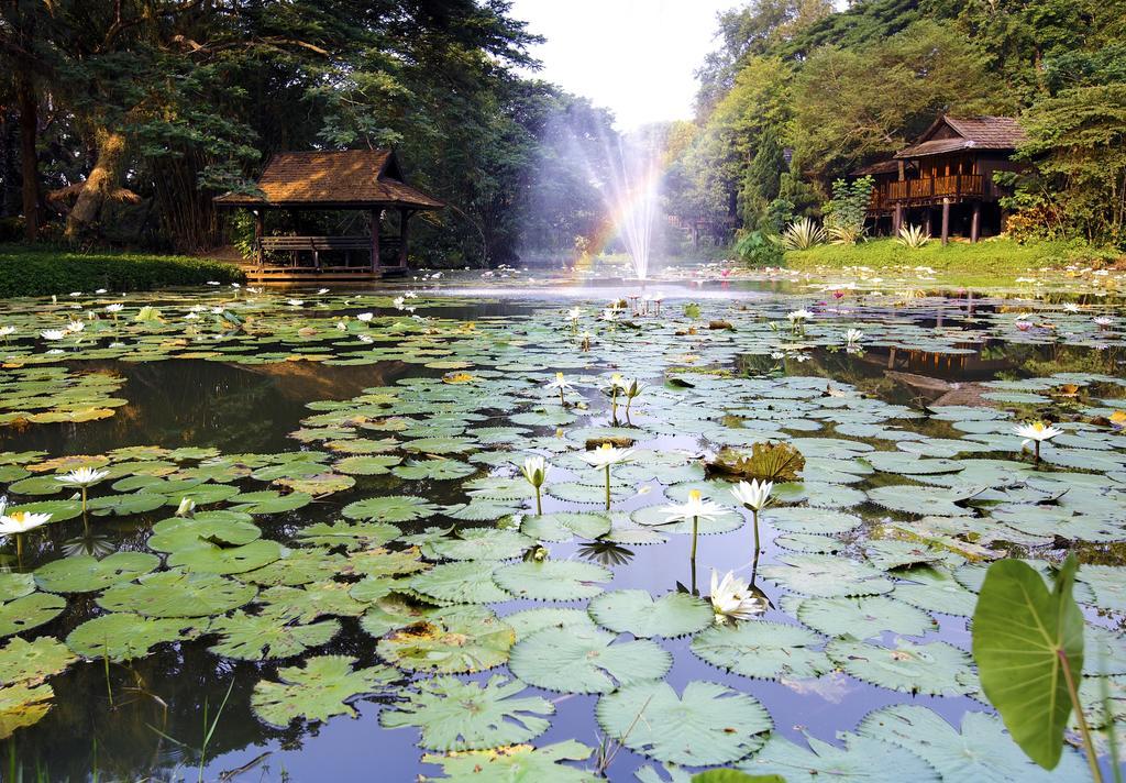 Lampang River Lodge - SHA certified Bagian luar foto